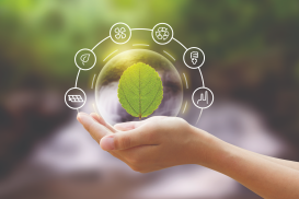 Pathways to Sustainable Innovation