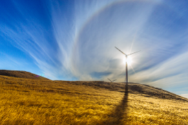 Fundamentos da sustentabilidade